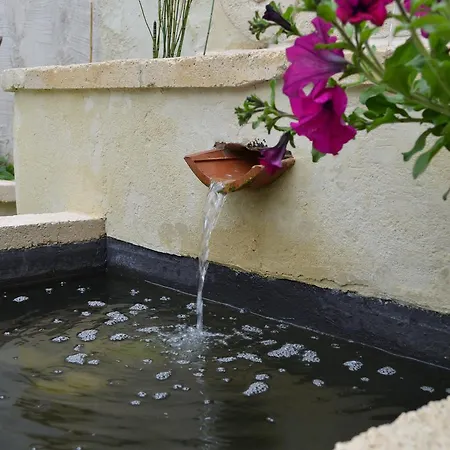 Bed & Breakfast D'hotes La Vigneronne